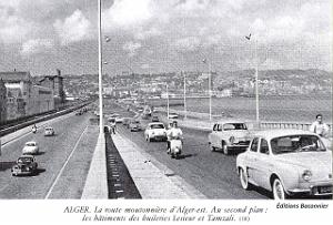 181- Alger - route moutonniere